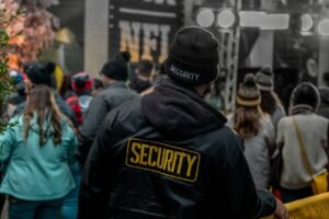 security guard, crowd, crowd control, concert, security guard, security guard, security guard, security guard, security guard